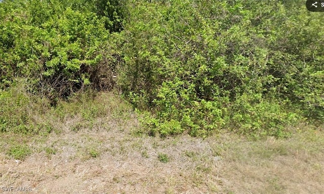 639 Lydia St, Lehigh Acres, FL 33974