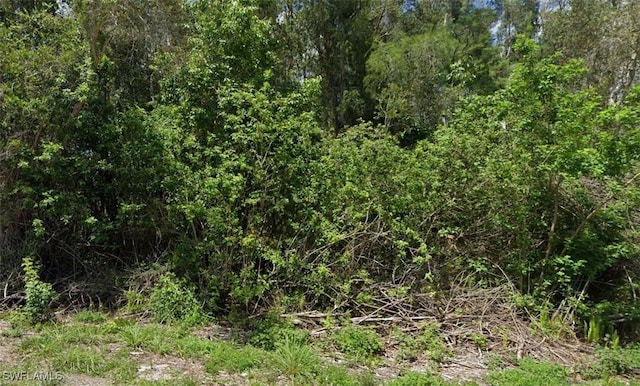 638 Delmonico St, Lehigh Acres, FL 33974