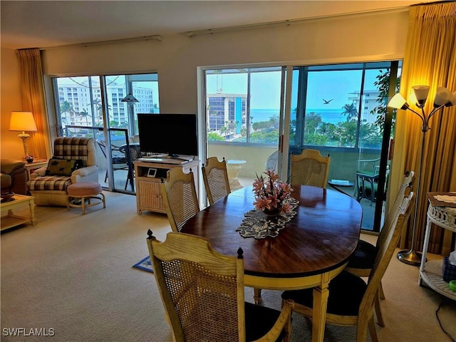 view of carpeted dining room