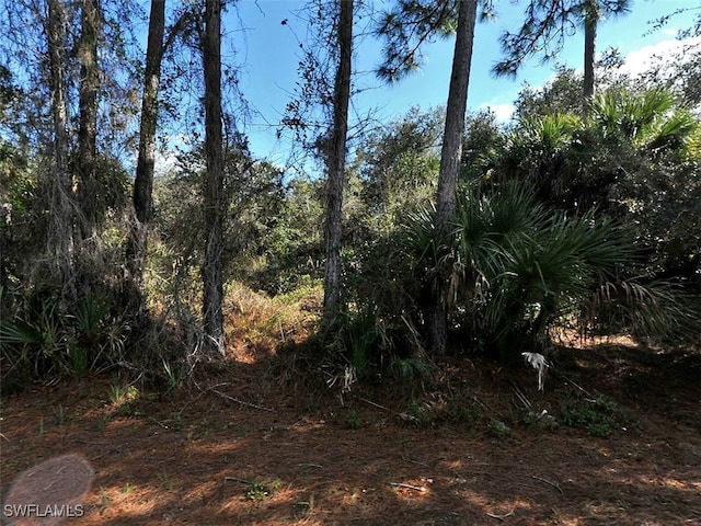 Kenoska St, North Port, FL 34288
