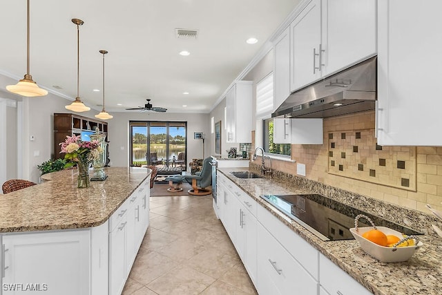 kitchen featuring tasteful backsplash, a ceiling fan, under cabinet range hood, visible vents, and a sink