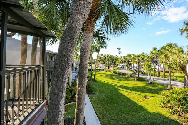 4030 Northlight Dr, Naples, FL 34112 - view of yard