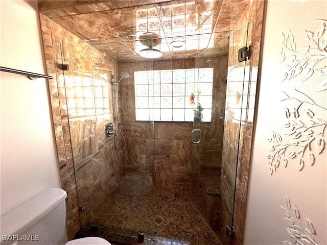 full bathroom featuring toilet and a stall shower