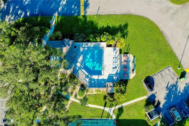 bird's eye view