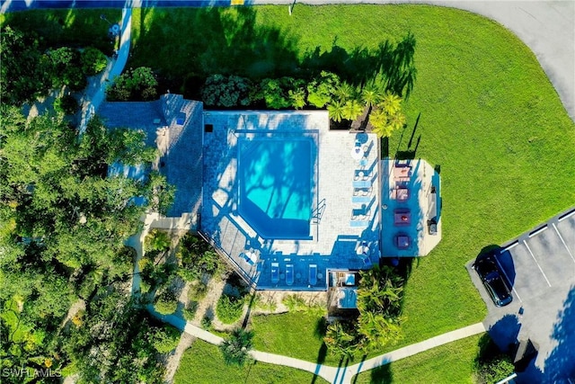 drone / aerial view