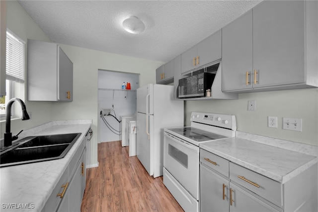 kitchen with white appliances, gray cabinetry, a sink, light wood-style flooring, and plenty of natural light