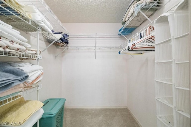 721 Mardel Dr Unit 602, Naples, FL 34104 - walk in closet featuring carpet flooring