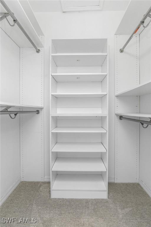 9719 Acqua Ct Unit 241, Naples, FL 34113 - spacious closet with carpet flooring