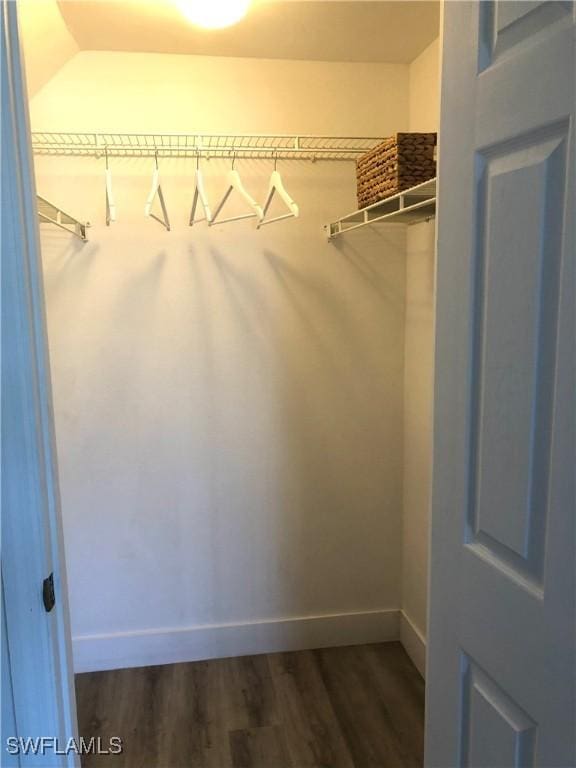 411 SW 34th Ter, Cape Coral, FL 33914 - walk in closet with dark wood finished floors