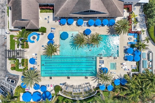 bird's eye view