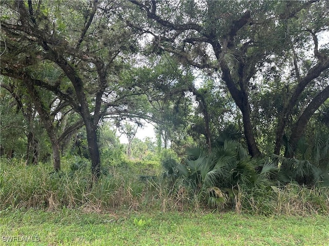 1024 Asther St E, Lehigh Acres, FL 33974