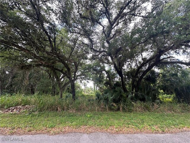 1024 Asther St E, Lehigh Acres, FL 33974