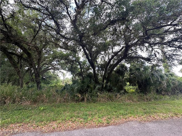 1024 Asther St E, Lehigh Acres, FL 33974
