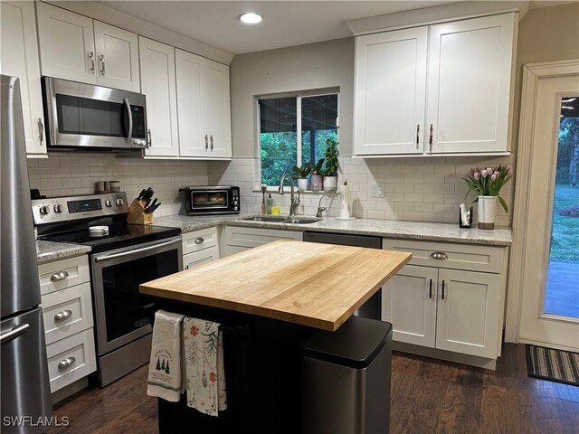 kitchen with appliances with stainless steel finishes, dark wood-style flooring, a sink, and wooden counters