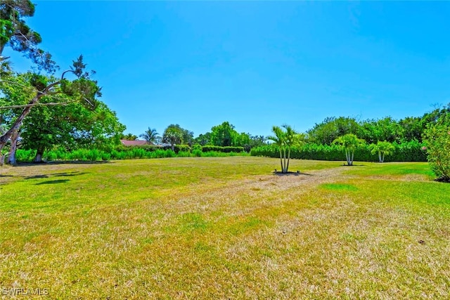 9974 Winterview Dr, Naples, FL 34109 - view of grassy yard