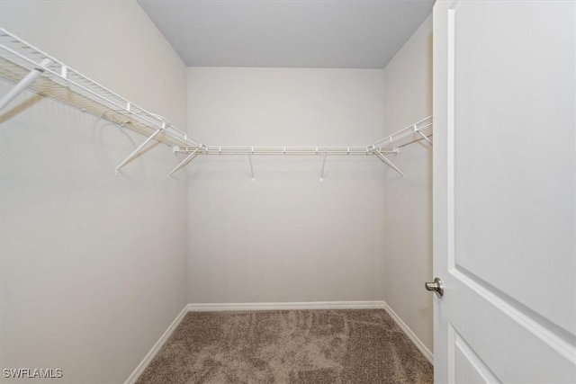 8813 Swell Brooks Ct, North Fort Myers, FL 33917 - spacious closet featuring carpet