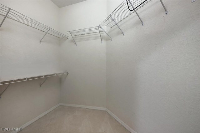 317 Harvard Ln, Naples, FL 34104 - walk in closet featuring carpet floors