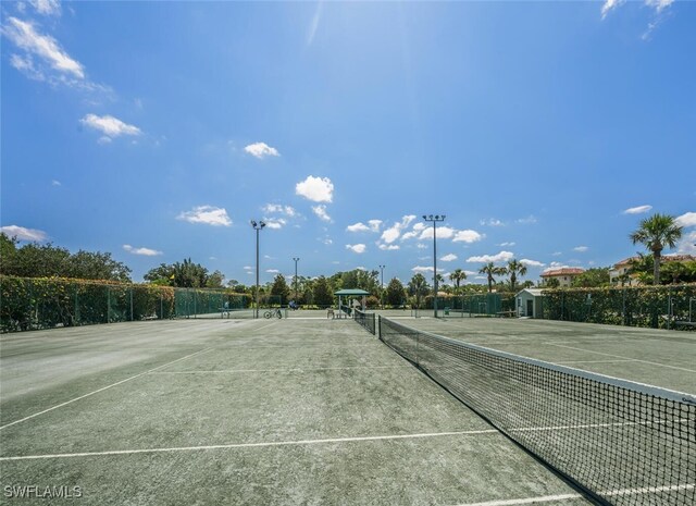 317 Harvard Ln, Naples, FL 34104 - view of tennis court