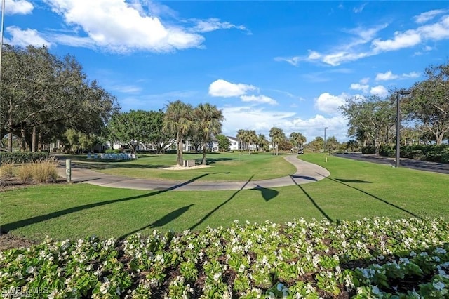 view of property's community featuring a lawn