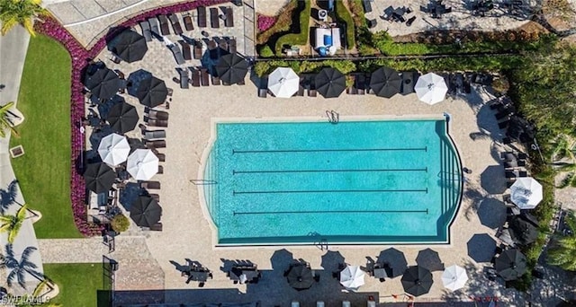 aerial view