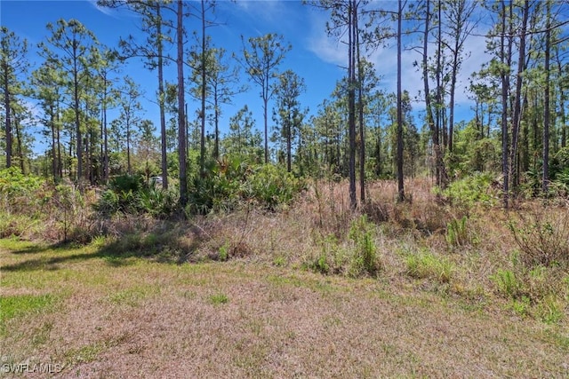 4140 31st Ave NE, Naples, FL 34120 - view of nature