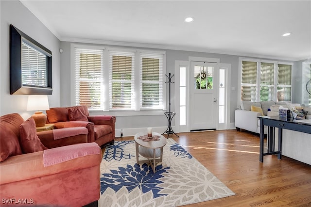 living area featuring wood finished floors and recessed lighting