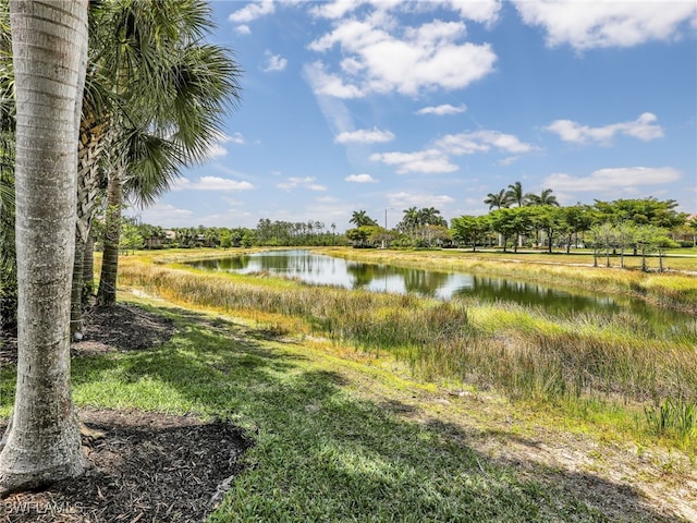 13530 Villa Di Preserve Ln, Estero, FL 33928 - water view