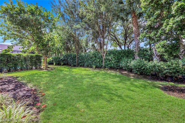 3267 Pacific Dr, Naples, FL 34119 - view of green lawn
