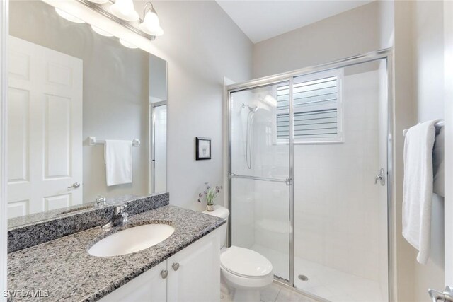 bathroom with a shower stall, toilet, and vanity