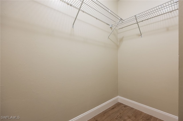 18276 Creekside Preserve Loop Unit 102, Fort Myers, FL 33908 - walk in closet featuring wood finished floors