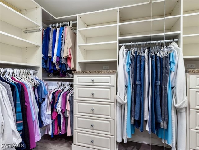 14701 Eden St, Fort Myers, FL 33908 - spacious closet with dark wood-style floors