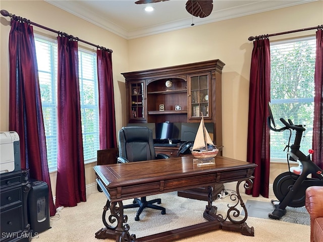 12125 Via Cercina Dr, Bonita Springs, FL 34135 - office space with light colored carpet, baseboards, and crown molding