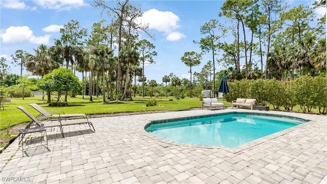 2920 24th Ave SE, Naples, FL 34117 - outdoor pool with a lawn and a patio area