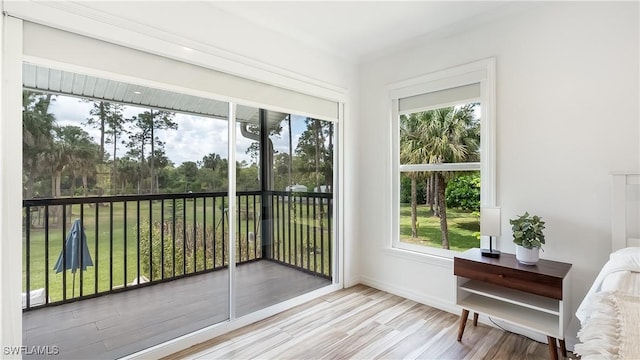 2920 24th Ave SE, Naples, FL 34117 - doorway with baseboards, wood finished floors, and plenty of natural light