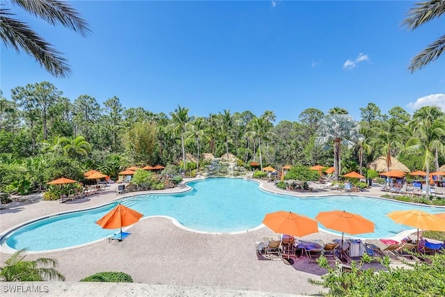 9134 Chula Vista St Unit 125, Naples, FL 34113 - community pool featuring a patio