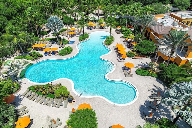 9134 Chula Vista St Unit 125, Naples, FL 34113 - view of swimming pool with a patio
