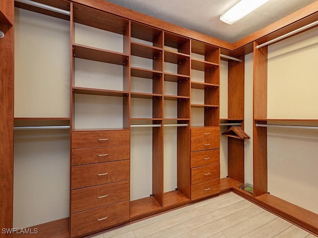 walk in closet featuring light wood-type flooring