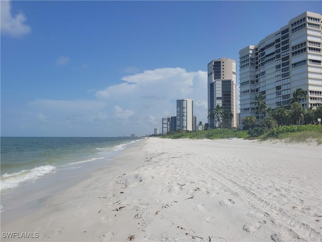 view of water feature with a beach view