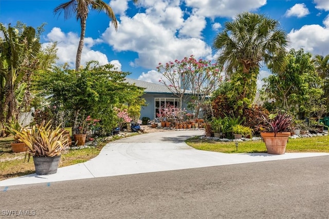 813 105th Ave N, Naples, FL 34108 - view of front of property featuring curved driveway