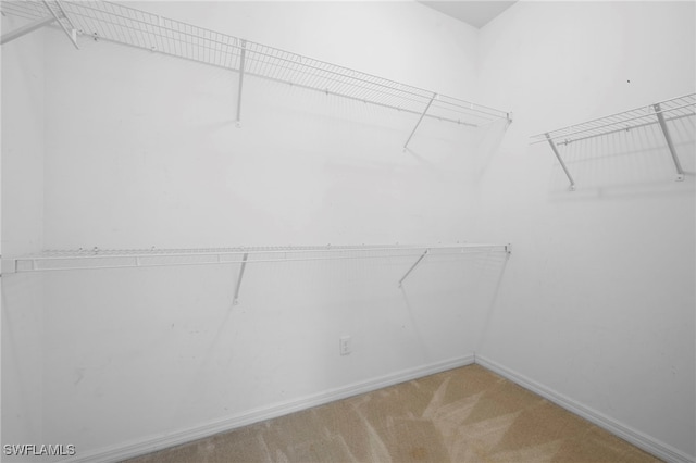 1322 SW 22nd Ave, Cape Coral, FL 33991 - walk in closet with carpet