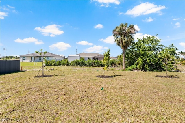 view of yard