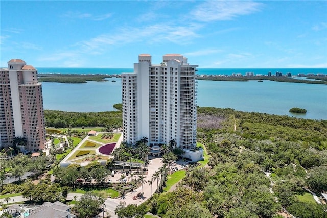 aerial view of a large body of water