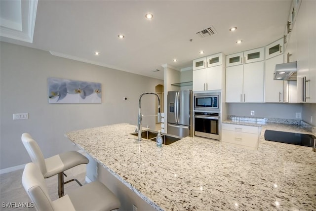 kitchen with stainless steel appliances, ventilation hood, a sink, visible vents, and light stone countertops
