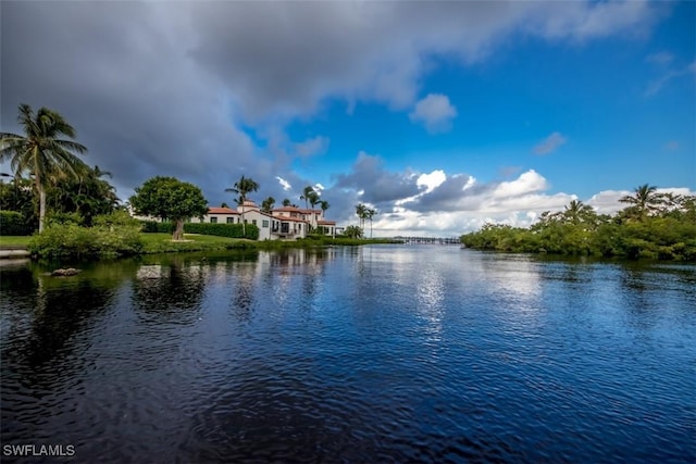 property view of water