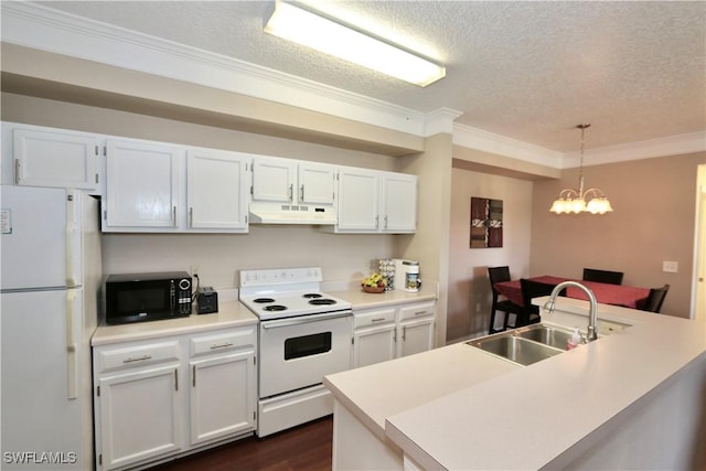 kitchen featuring a textured ceiling, crown molding, a sink, under cabinet range hood, and white appliances