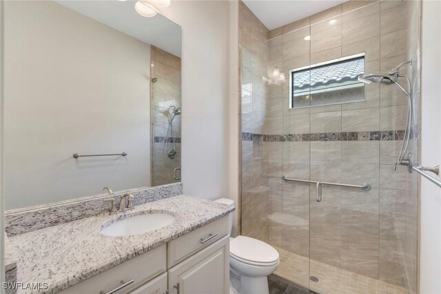full bathroom with toilet, vanity, and a stall shower