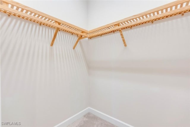 spacious closet with carpet floors