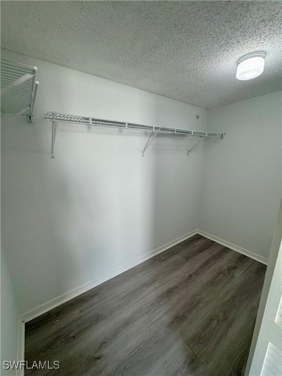 walk in closet with dark wood finished floors