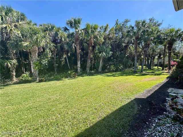 view of yard
