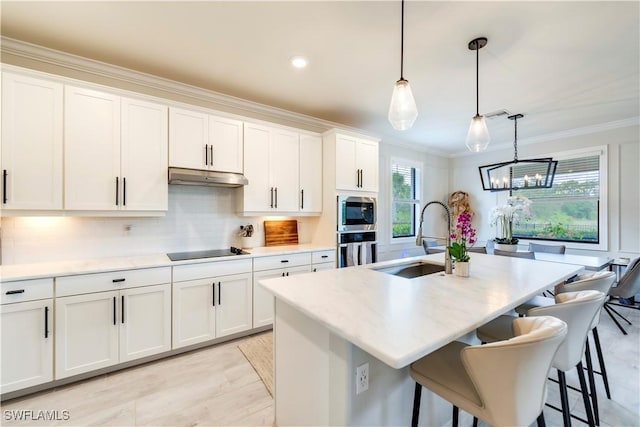 19128 Elston Way, Estero, FL 33928 - kitchen featuring a sink, under cabinet range hood, appliances with stainless steel finishes, ornamental molding, and white cabinets
